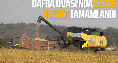 Bafra Ovası'nda çeltik hasadı tamamlandı