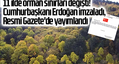 11 ilde orman sınırları değişti! Cumhurbaşkanı Erdoğan imzaladı, Resmi Gazete'de yayımlandı