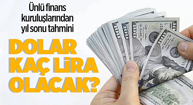 Uluslararası finans kuruluşlarının 2024 yıl sonu dolar/TL tahminleri belli oldu