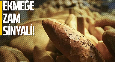 Ekmeğe Zam Sinyali
