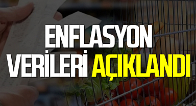 Enflasyon verileri açıklandı