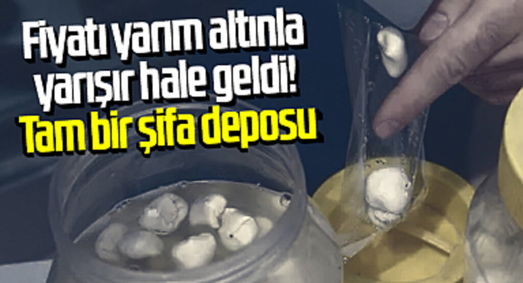 Fiyatı yarım altınla yarışır hale geldi! Tam bir şifa deposu: Doğada kendiliğinden yetişiyor, toplayan kişi sayısı çok az...