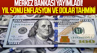 SON DAKİKA: Merkez Bankası yayımladı! İşte yıl sonu enflasyon ve dolar tahmini