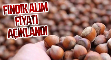 SON DAKİKA! Fındık alım fiyatı açıklandı