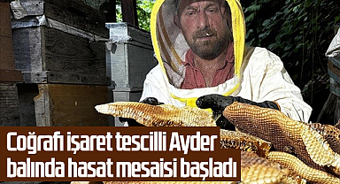 Coğrafi işaret tescilli Ayder balında hasat mesaisi başladı