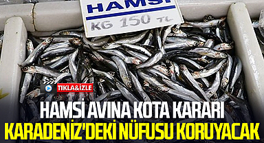 Hamsi Avına Kota Kararı Karadeniz'deki Nüfusu Koruyacak