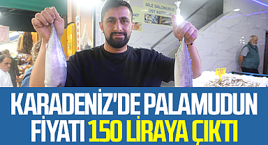 Karadeniz'de palamudun fiyatı 150 liraya çıktı