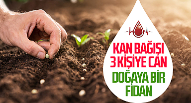 Kaymakam Mustafa Ayvat: Kan Bağışı 3 Kişiye Can Doğaya Bir Fidan