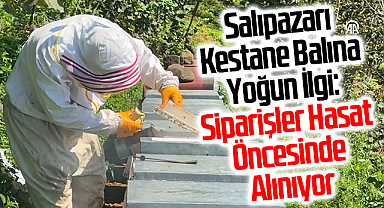 Salıpazarı Kestane Balına Yoğun İlgi: Siparişler Hasat Öncesinde Alınıyor