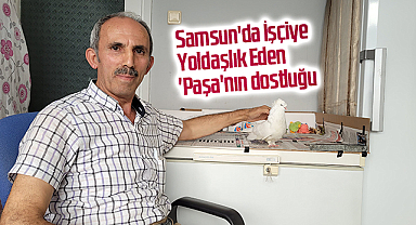 Samsun'da İşçiye Yoldaşlık Eden 'Paşa'nın dostluğu
