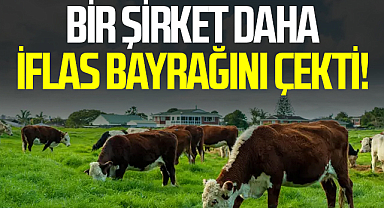 Bir şirket daha iflas bayrağını çekti!