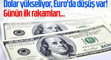 Dolar yükseliyor, Euro'da düşüş var! Günün ilk rakamları...