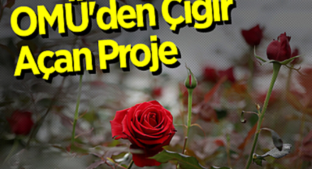 OMÜ'den Çığır Açan Proje: Hamsi Atıklarından Biyogübre Üretimi
