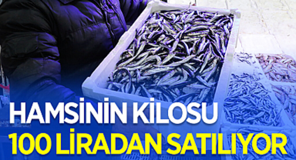 Samsun'da Hamsinin kilosu 100 liradan satılıyor