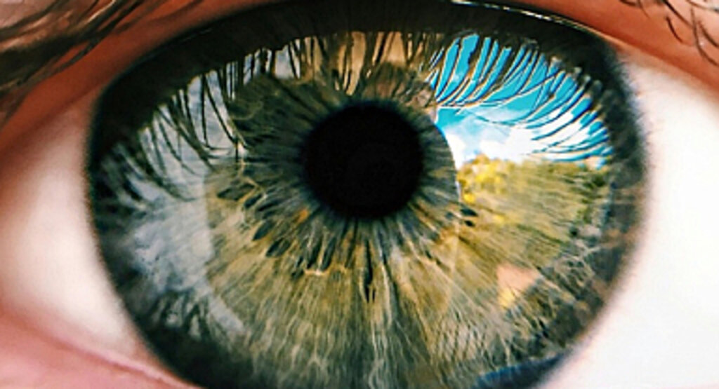 Prematüre Bebeklerde Erken Göz Tedavisi Hayati Önem Taşıyor