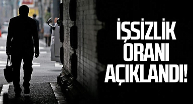 Türkiye'de İşsizlik Oranı Düşüş Gösterdi: Kasım Ayında %8,6 Seviyesine Geriledi