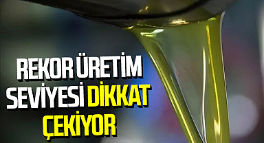 Türkiye Zeytin ve Zeytinyağında Tarih Yazıyor! Rekor Üretim Seviyesi Dikkat Çekiyor