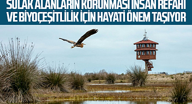 Sulak Alanların Korunması İnsan Refahı ve Biyoçeşitlilik İçin Hayati Önem Taşıyor