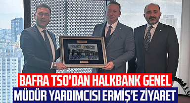 Bafra TSO'dan Halkbank Genel Müdür Yardımcısı Ermiş'e ziyaret