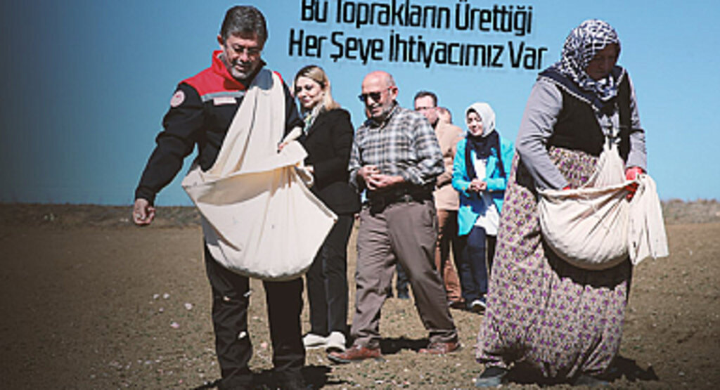 Tarım ve Orman Bakanı Yumaklı, Taşköprü’de Sarımsak Ekimi Yaptı: Bu Toprakların Ürettiği Her Şeye İhtiyacımız Var