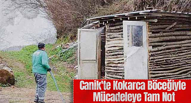 Canik'te Kokarca Böceğiyle Mücadeleye Tam Not