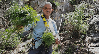 Konya'da Sarp Dağlarda Kişniş Mesaisi: Ekmeğimizi Taştan Çıkarıyoruz