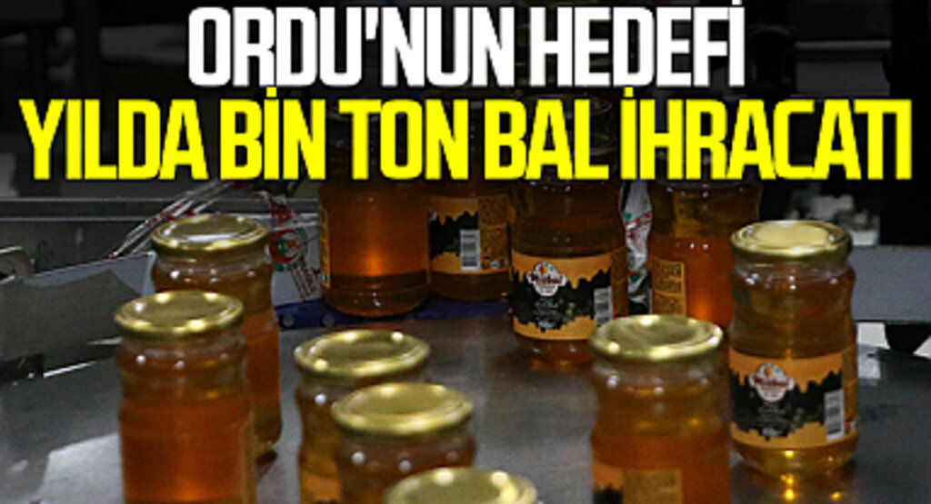 Ordu'nun Hedefi Yılda Bin Ton Bal İhracatı