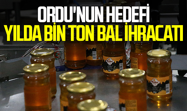 Ordu'nun Hedefi Yılda Bin Ton Bal İhracatı