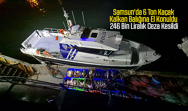 Samsun'da 6 Ton Kaçak Kalkan Balığına El Konuldu: 246 Bin Liralık Ceza Kesildi