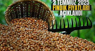 2 Temmuz 2025 Fındık Fiyatları Açıklandı: İşte İl İl Güncel Serbest Piyasa Rakamları