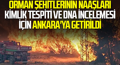 Orman şehitlerinin naaşları kimlik tespiti ve DNA incelemesi için Ankara'ya getirildi