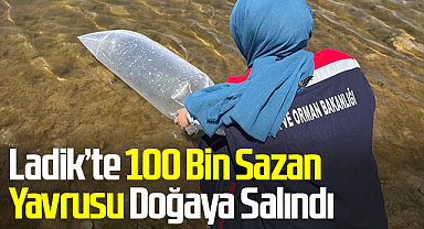 Ladik’te 100 Bin Sazan Yavrusu Doğaya Salındı