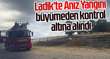 Ladik’te anız yangını büyümeden kontrol altına alındı