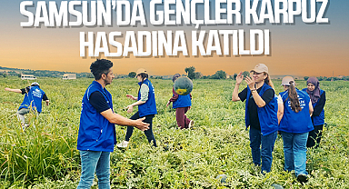 Samsun’da Gençler Karpuz Hasadına Katıldı