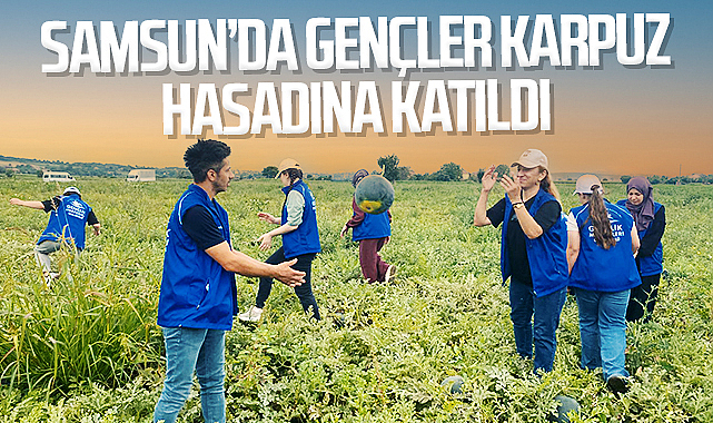 Samsun’da Gençler Karpuz Hasadına Katıldı