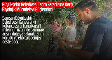 1 Milyonun Üzerinde Samuray Arısı Samsun’da Doğaya Salındı