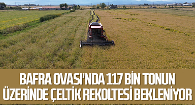 Bafra Ovası'nda 117 bin tonun üzerinde çeltik rekoltesi bekleniyor