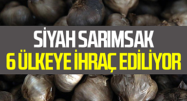 Coğrafi İşaretli Taşköprü Sarımsağından Üretilen Siyah Sarımsak 6 Ülkeye İhraç Ediliyor