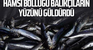 Hamsi bolluğu balıkçıların yüzünü güldürdü