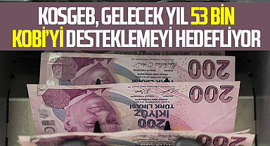 KOSGEB, Gelecek Yıl 53 Bin KOBİ’yi Desteklemeyi Hedefliyor