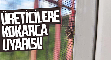 Terme’de Kahverengi Kokarca Uyarısı: Üreticiler Dikkat!