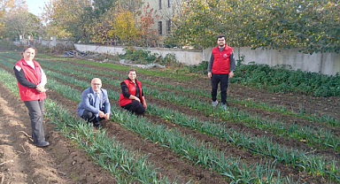 19 Mayıs İlçesinde 25 Bin Nergis Soğanı Dağıtıldı