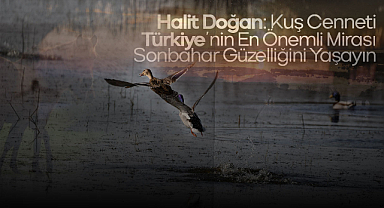 Halit Doğan: Kuş Cenneti Türkiye'nin En Önemli Mirası, Sonbahar Güzelliğini Yaşayın