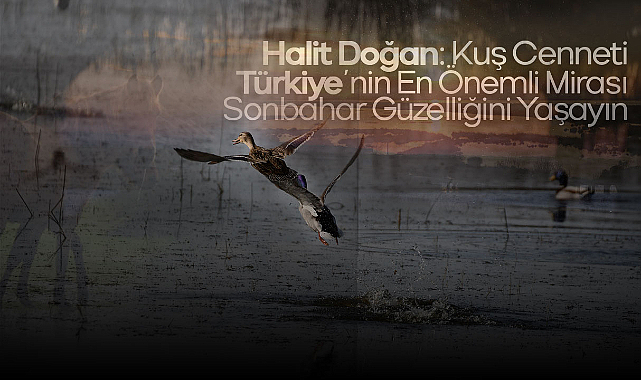 Halit Doğan: Kuş Cenneti Türkiye'nin En Önemli Mirası, Sonbahar Güzelliğini Yaşayın