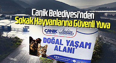 Canik Belediyesi’nden Sokak Hayvanlarına Güvenli Yuva