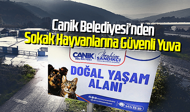 Canik Belediyesi’nden Sokak Hayvanlarına Güvenli Yuva