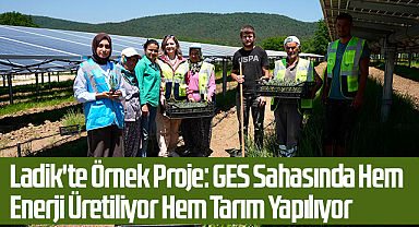 Ladik'te Örnek Proje: GES Sahasında Hem Enerji Üretiliyor Hem Tarım Yapılıyor