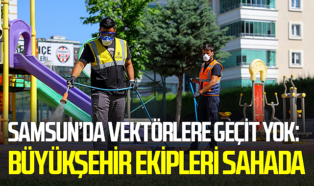 Samsun’da Vektörlere Geçit Yok: Büyükşehir Ekipleri Sahada
