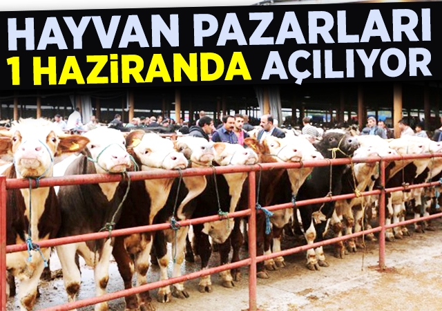 Hayvan Pazarları 1 Haziranda Açılıyor