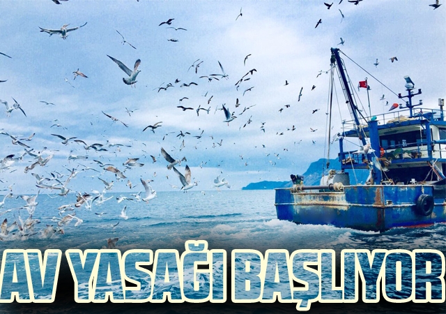 Av Yasağı Başlıyor